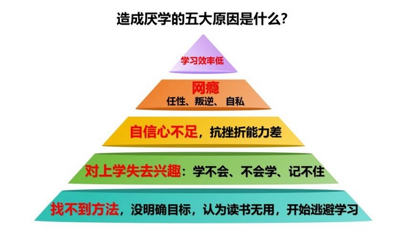 扎根课程(图16) 扎根课程(图16)