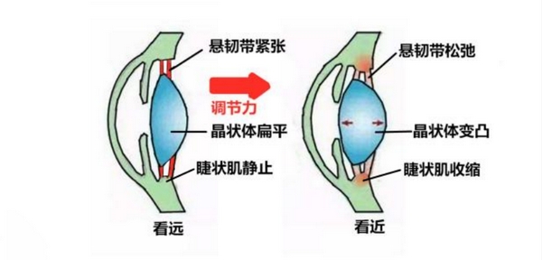 扎根课程(图32) 扎根课程(图32)
