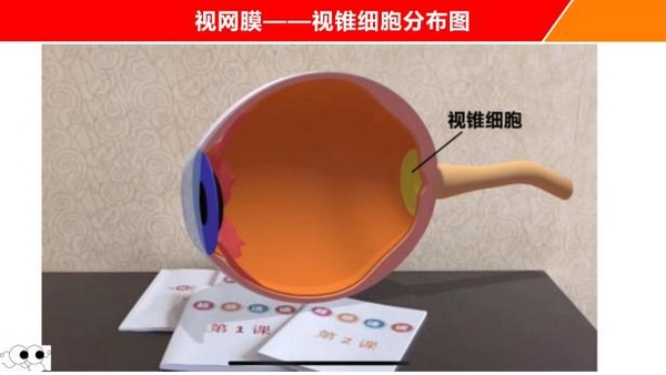 扎根课程(图35) 扎根课程(图35)