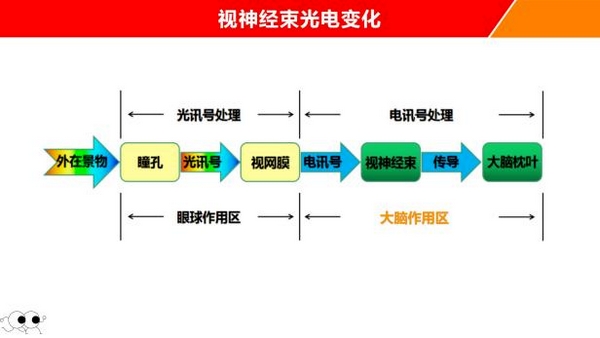 扎根课程(图40) 扎根课程(图40)