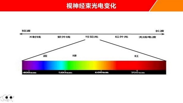 扎根课程(图41) 扎根课程(图41)